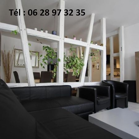 Gite Hyper Centre 10 Pers Кольмар Екстер'єр фото
